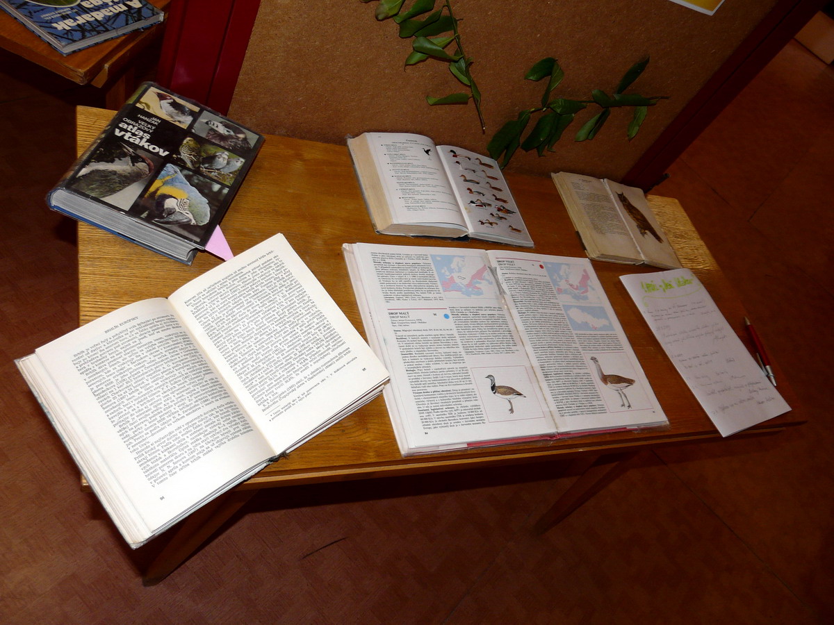 02. Odborná literatúra
